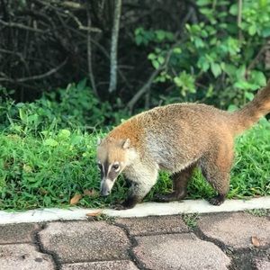 Meet your Posher, Kendra